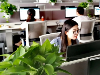 數(shù)字化轉(zhuǎn)型的橋梁 上市外企如何通過(guò)天貓京東唯品會(huì)在線客服優(yōu)化信息技術(shù)咨詢服務(wù)